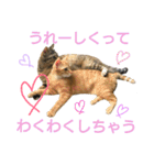 ♡アンナとチルチルのスタンプ♡（個別スタンプ：8）
