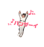 チャミちゃん♪（個別スタンプ：2）