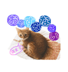 ねこすた・茶トラ猫バージョン（個別スタンプ：18）
