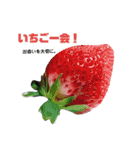 チビ太とその他（個別スタンプ：1）