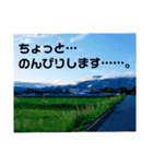 チビ太とその他（個別スタンプ：11）