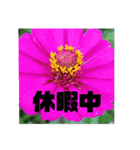 チビ太とその他（個別スタンプ：15）