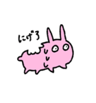 うさぎのかじりとかじられ（個別スタンプ：1）
