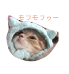 ロイチーのスタンプ2（個別スタンプ：3）