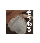 ロイチーのスタンプ2（個別スタンプ：8）