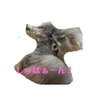 カワイイ子たち（個別スタンプ：3）