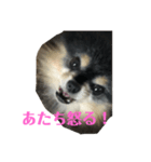 カワイイ子たち（個別スタンプ：5）