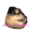カワイイ子たち（個別スタンプ：7）