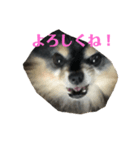 カワイイ子たち（個別スタンプ：8）