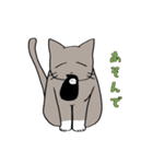 忍者とねこさん（個別スタンプ：11）