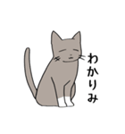 忍者とねこさん（個別スタンプ：30）
