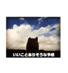 柴犬まろ③写真文字入り（個別スタンプ：17）