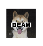 柴犬まろ③写真文字入り（個別スタンプ：22）