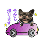 ボウリングに岡山弁のフレンチブルドッグ（個別スタンプ：9）