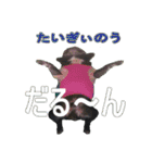 ボウリングに岡山弁のフレンチブルドッグ（個別スタンプ：15）