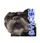ボウリングに岡山弁のフレンチブルドッグ（個別スタンプ：28）