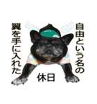ボウリングに岡山弁のフレンチブルドッグ（個別スタンプ：29）