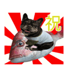 ボウリングに岡山弁のフレンチブルドッグ（個別スタンプ：37）