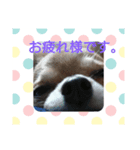 時雨の気持ち（個別スタンプ：5）