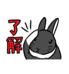 もふもふうさぎすき 男子用（個別スタンプ：2）