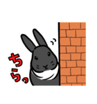 もふもふうさぎすき 男子用（個別スタンプ：5）