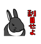 もふもふうさぎすき 男子用（個別スタンプ：6）