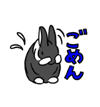 もふもふうさぎすき 男子用（個別スタンプ：22）