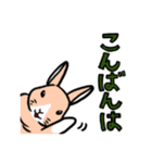 もふもふうさぎすき 男子用（個別スタンプ：30）