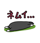 もふもふうさぎすき 男子用（個別スタンプ：32）
