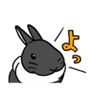 もふもふうさぎすき 男子用（個別スタンプ：37）