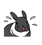 もふもふうさぎすき 男子用（個別スタンプ：39）