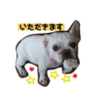 フレンチブルドッグ ぷーちゃん（個別スタンプ：2）