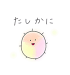 わたげだよ（個別スタンプ：13）