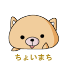 わんこな日々（こいぬ？）（個別スタンプ：13）