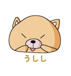 わんこな日々（こいぬ？）（個別スタンプ：14）