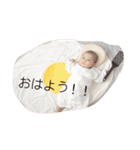 しばスタ♪（個別スタンプ：3）