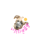 chibisyunaponchan goaisatu（個別スタンプ：3）