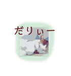 ネコwowの日常（個別スタンプ：3）