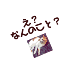 ネコwowの日常（個別スタンプ：12）