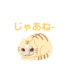 ネコwowの日常（個別スタンプ：15）