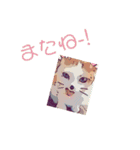 ネコwowの日常（個別スタンプ：28）