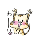 ベンガルのぬこまるさん。ラブ編（個別スタンプ：2）