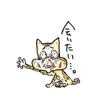 ベンガルのぬこまるさん。ラブ編（個別スタンプ：13）
