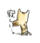 ベンガルのぬこまるさん。ラブ編（個別スタンプ：24）