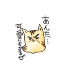 ベンガルのぬこまるさん。ラブ編（個別スタンプ：29）