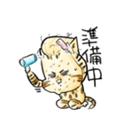 ベンガルのぬこまるさん。ラブ編（個別スタンプ：37）
