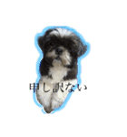 ルルとアリスとあんず（個別スタンプ：5）