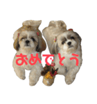 ルルとアリスとあんず（個別スタンプ：6）