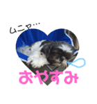 ルルとアリスとあんず（個別スタンプ：12）