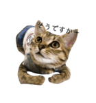 お返事ねこ[キナコ]（個別スタンプ：1）